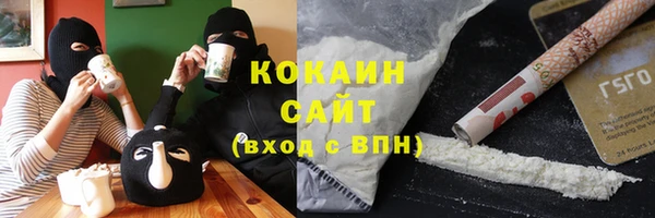 хмурый Алзамай