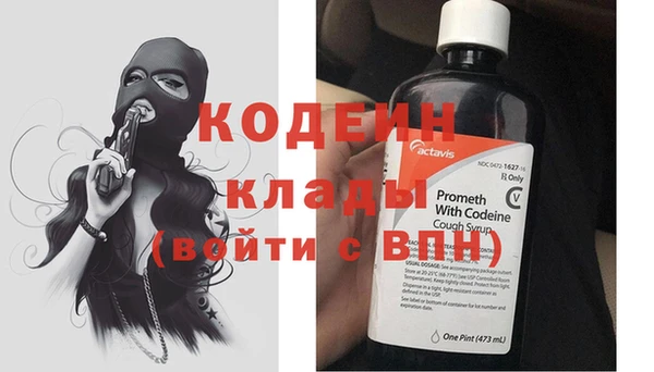 хмурый Алзамай
