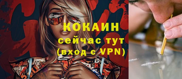 соль ск Алексин