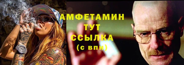 хмурый Алзамай