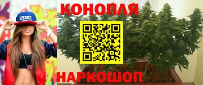 СК Обь