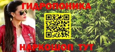 СК Обь