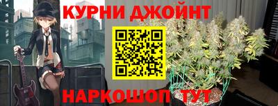 СК Обь