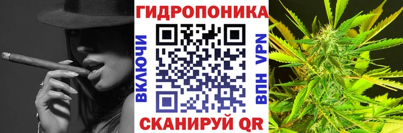 Бошки марихуана план  Усть-Лабинск 